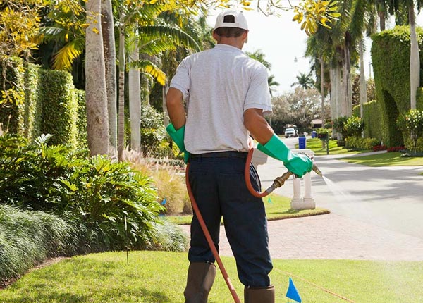 About Adrian GA Pest Control Pros